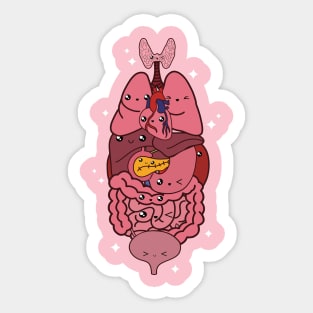 Kawaii Medical Anatomy Organs Sticker